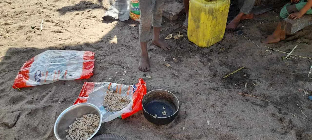 Bedürftige Menschen aus Madagaskar von Projektentwickler für Gebäude von grüner Energie