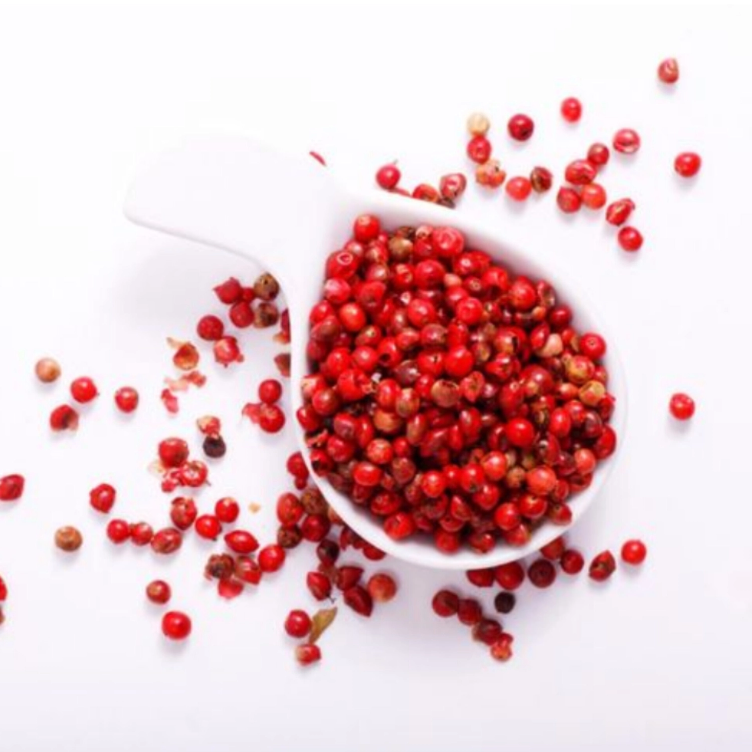 Madagaskar von Projektentwickler für Gebäude von grüner Energie