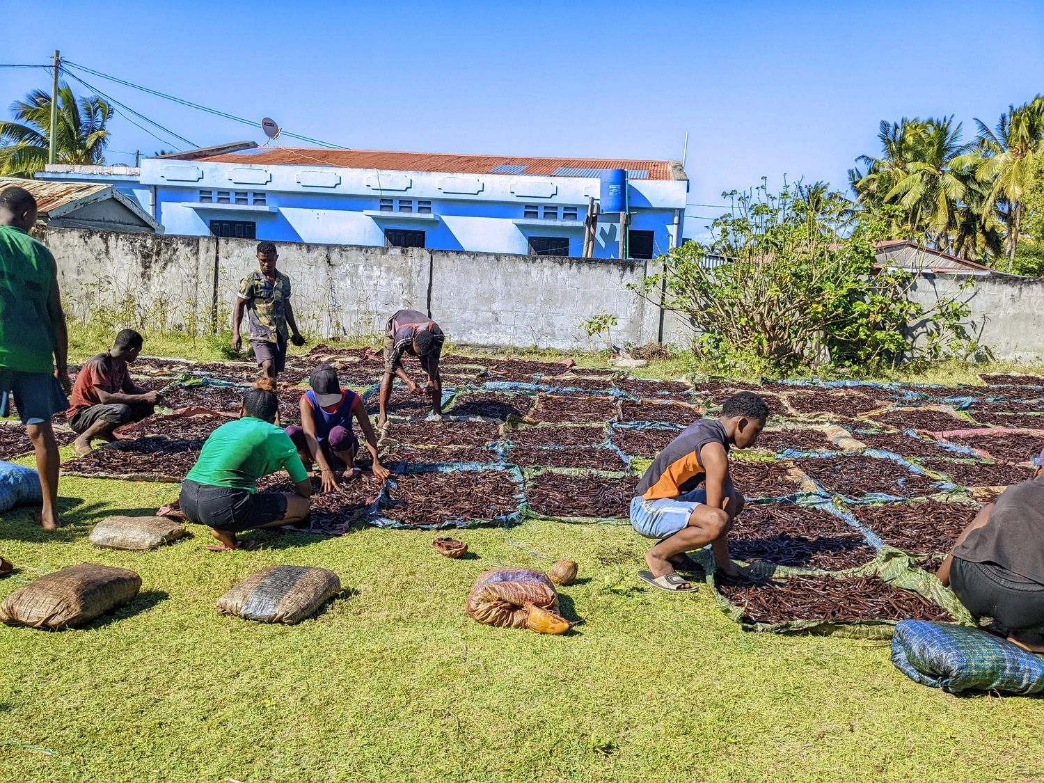 Bedürftige Menschen aus Madagaskar von Projektentwickler für Gebäude von grüner Energie